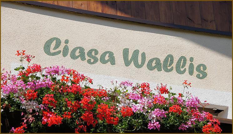 Ciasa Wallis Badia  Eksteriør billede